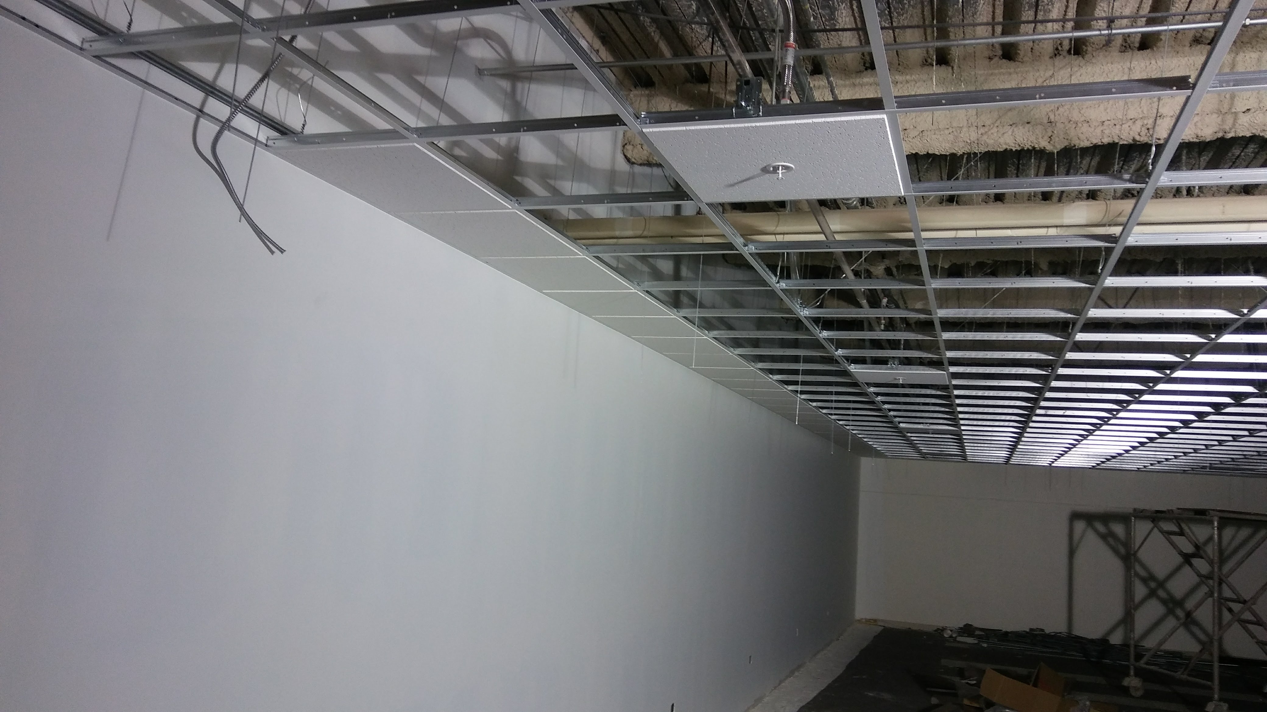 Ceiling grid and wall